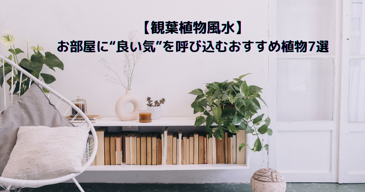 観葉植物のイラストと「観葉植物風水 お部屋に“良い気”を呼び込むおすすめ植物7選」の文字が配置された風水ブログ用アイキャッチ画像