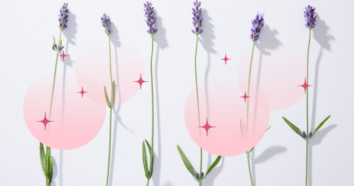 ラベンダーの切花を花瓶に飾った風水的インテリア