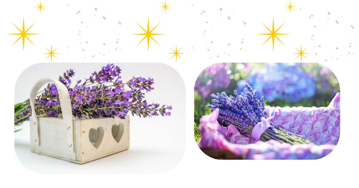 ラベンダーの切花を使った6月後半の風水術を紹介するアイキャッチ画像