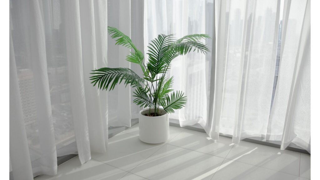 アイボリーのカーテンと観葉植物が配置された、光あふれる明るい室内。風水のラッキーカラー活用例